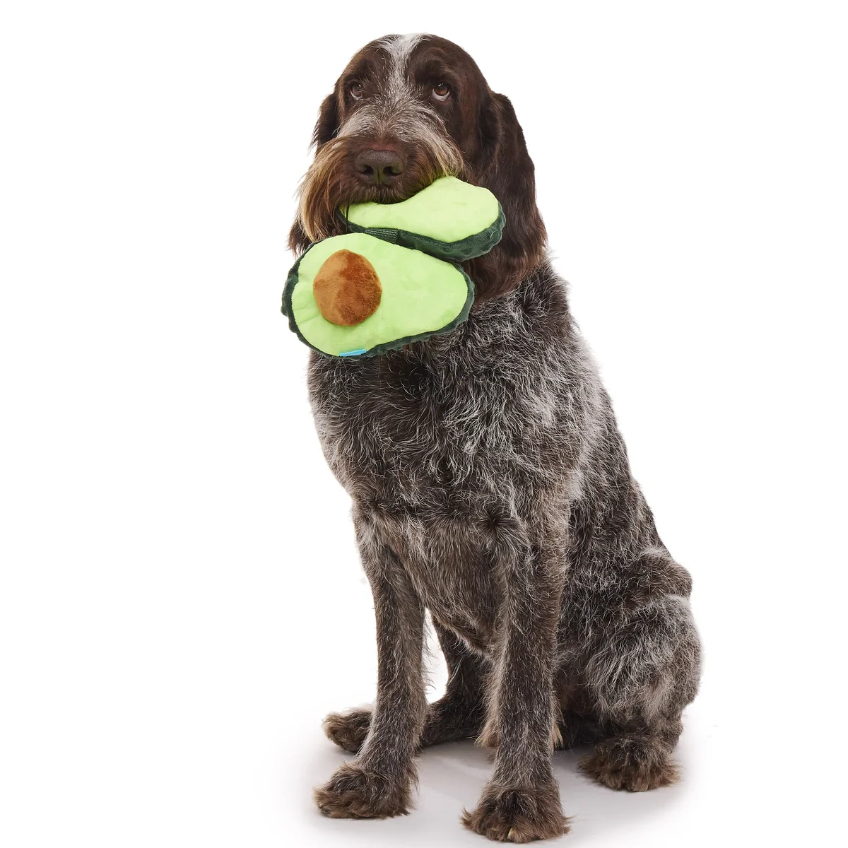 Arfocado Plush Enrichment + Tug Dog Toy - Image 10
