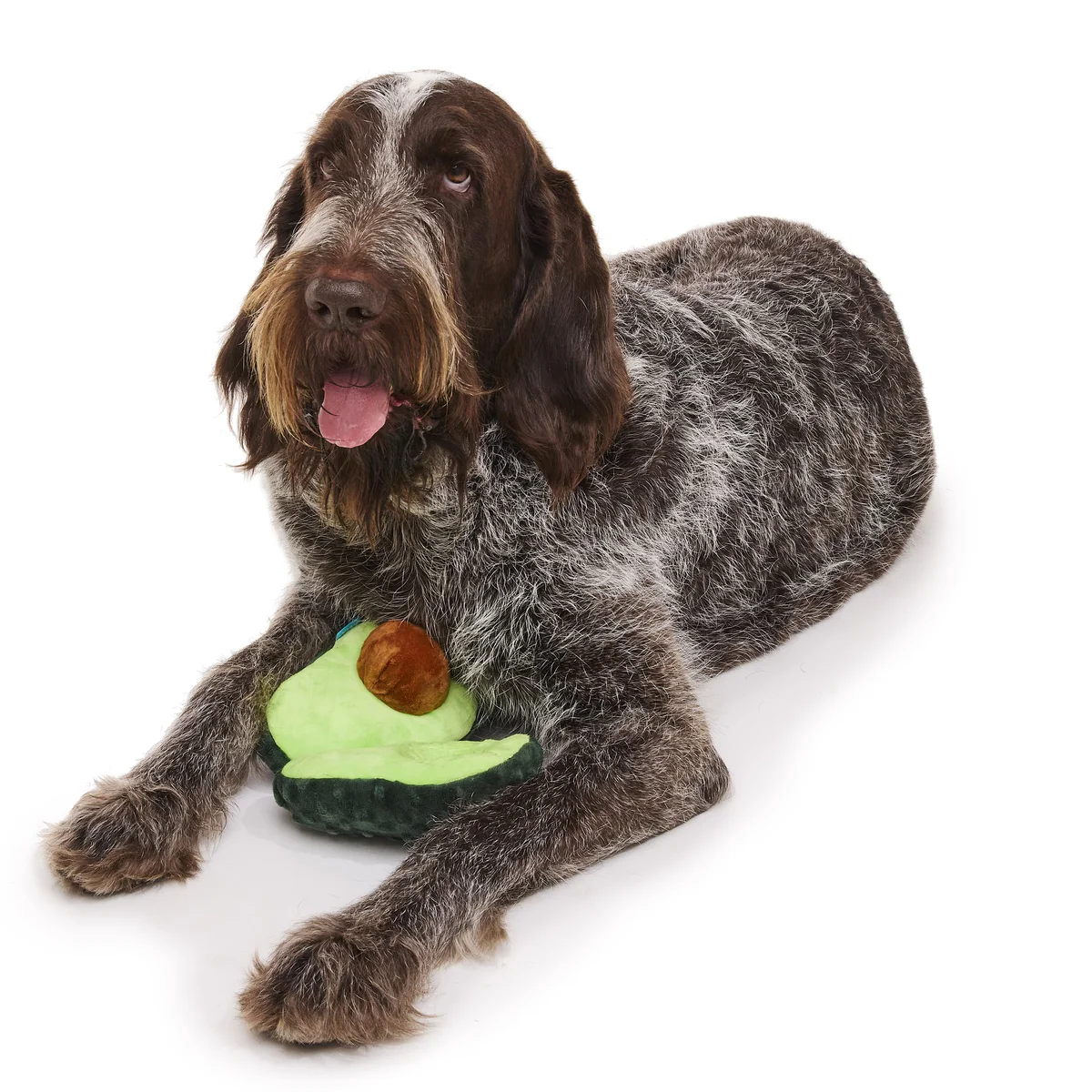 Arfocado Plush Enrichment + Tug Dog Toy - Image 11