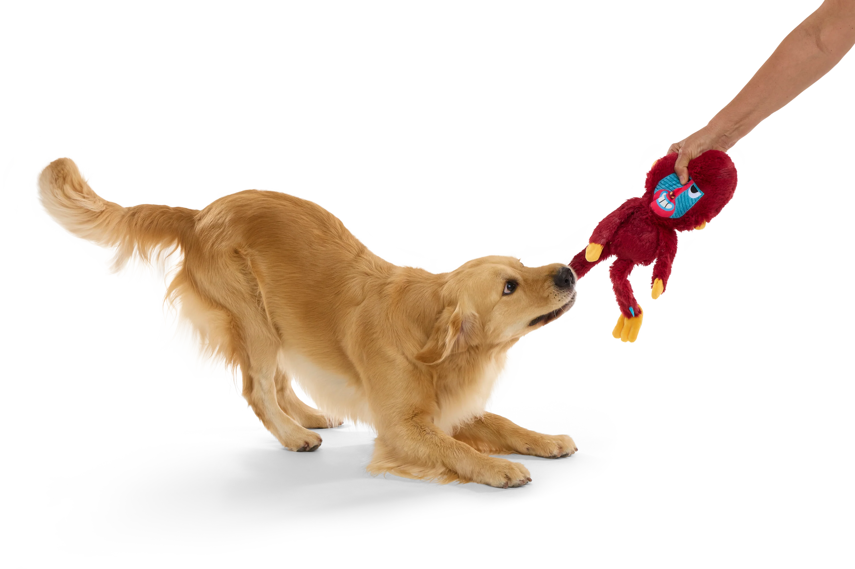 Babu Baboon Plush Tug Extra-Large Dog Toy - Image 4