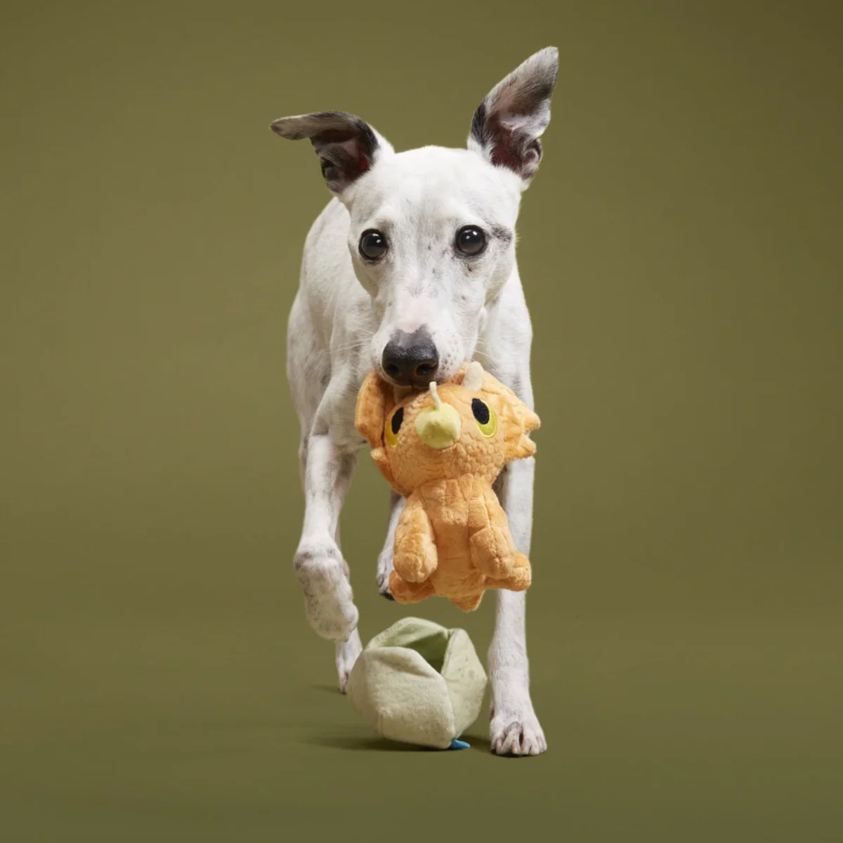 Baby Triceratops Plush Multi-Part + Enrichment Dog Toy - Image 3