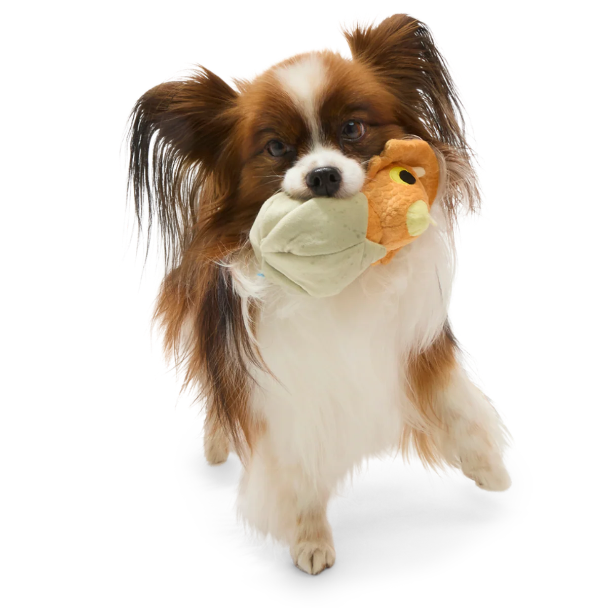 Baby Triceratops Plush Multi-Part + Enrichment Dog Toy - Image 4