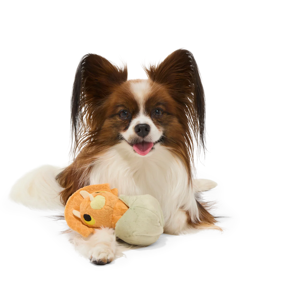 Baby Triceratops Plush Multi-Part + Enrichment Dog Toy - Image 5