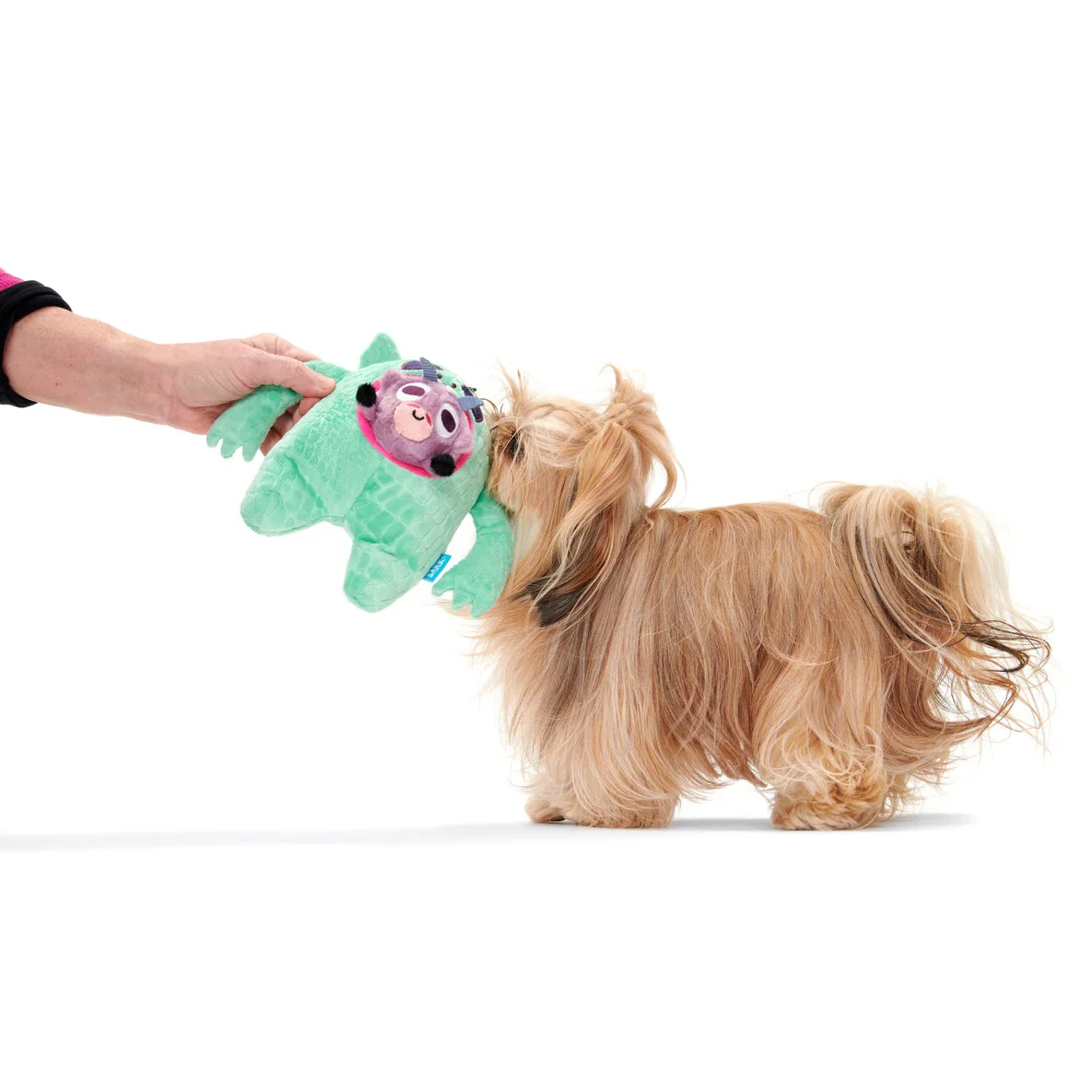 Barbara Chupacabra Plush Enrichment + Multi-Part + Tug Dog Toy - Image 5