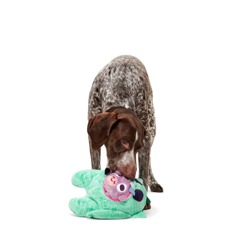 Barbara Chupacabra Plush Enrichment + Multi-Part + Tug Dog Toy - Image 6
