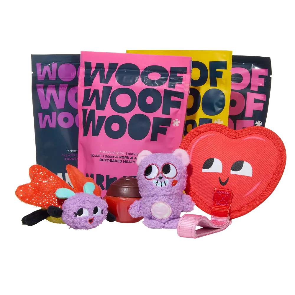 BARK 12 Month Subscription - FREE Extra Toys - Image 13