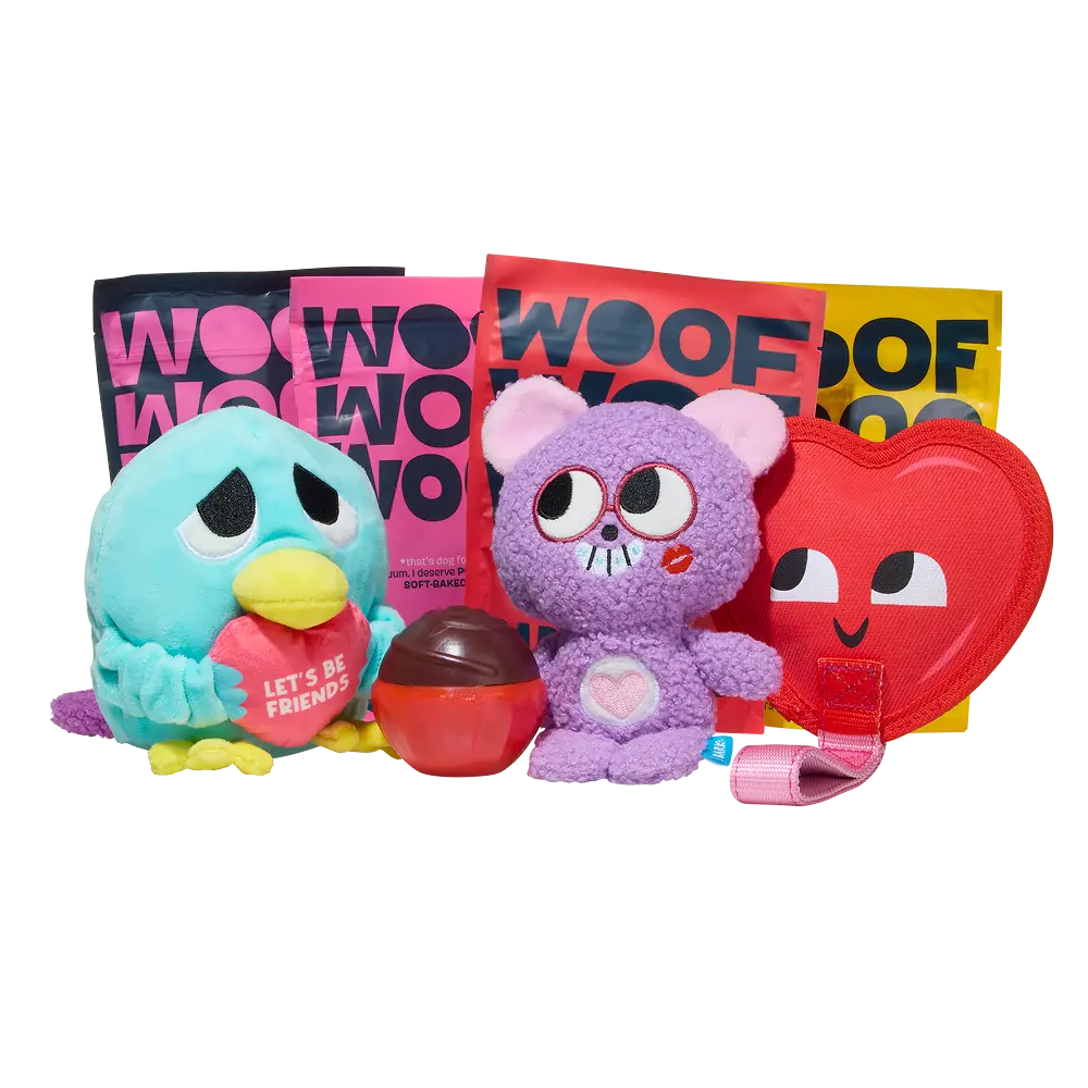 BARK 12 Month Subscription - FREE Extra Toys - Image 14