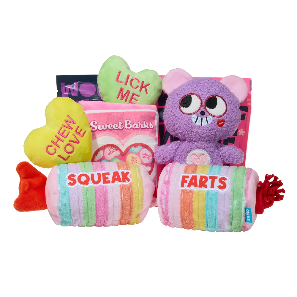 BARK 12 Month Subscription - FREE Extra Toys - Image 10