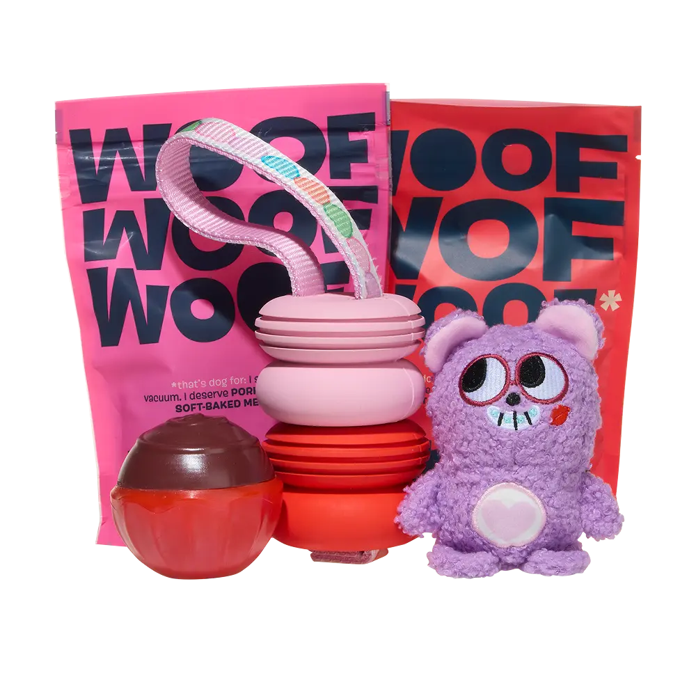 BARK 12 Month Subscription - FREE Extra Toys - Image 12