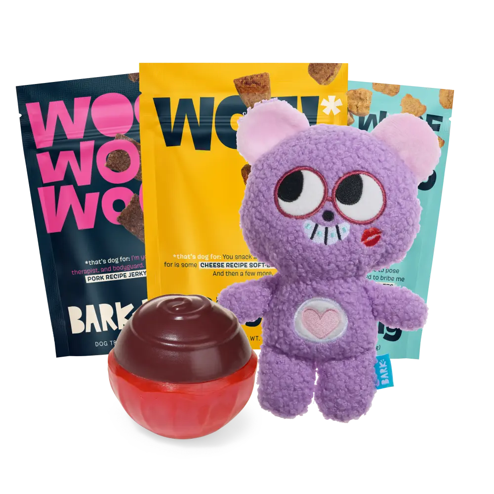 BARK 6 Month Subscription - FREE Extra Treats - Image 3