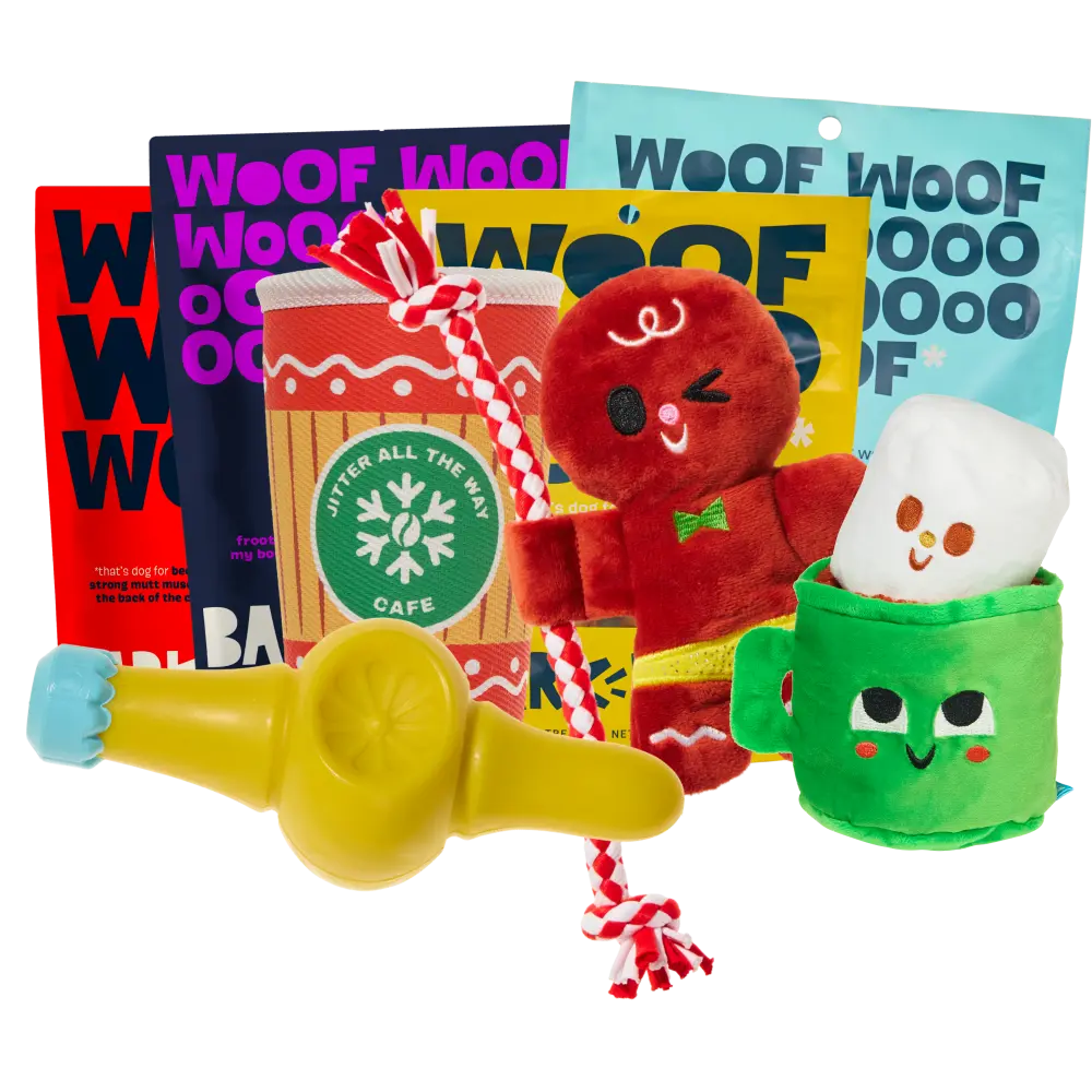 Super Chewer 6 Month Subscription - FREE Extra Toys - Image 4