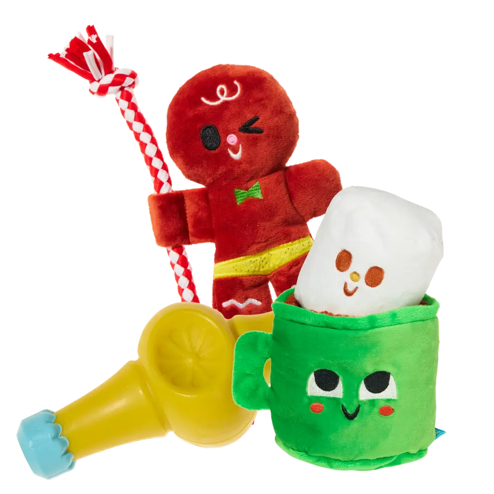 Super Chewer 6 Month Subscription - FREE Extra Toys - Image 6