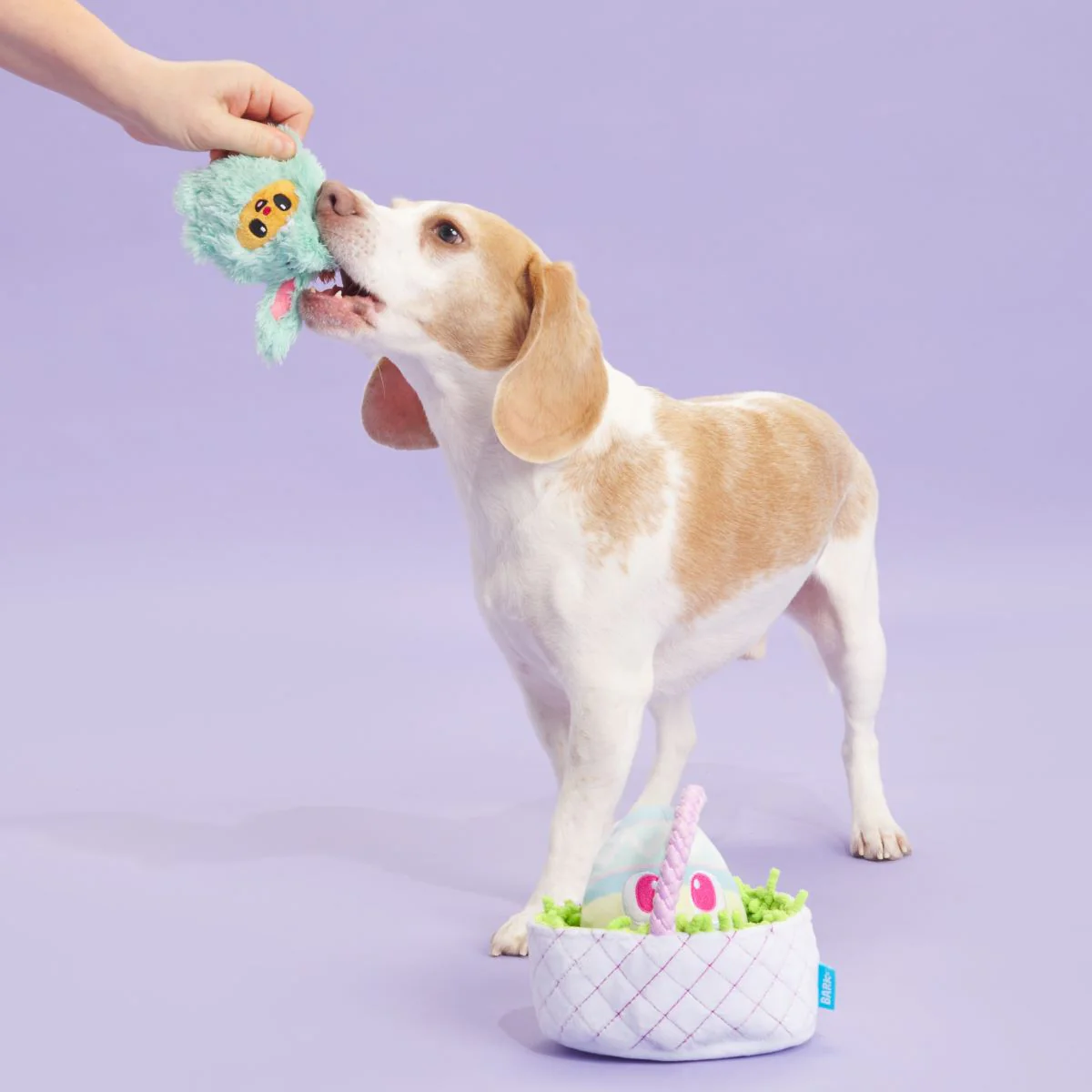 BARK Easter Bundle Plush Tug + Enrichment + Multi-Part Dog Toy - Image 4