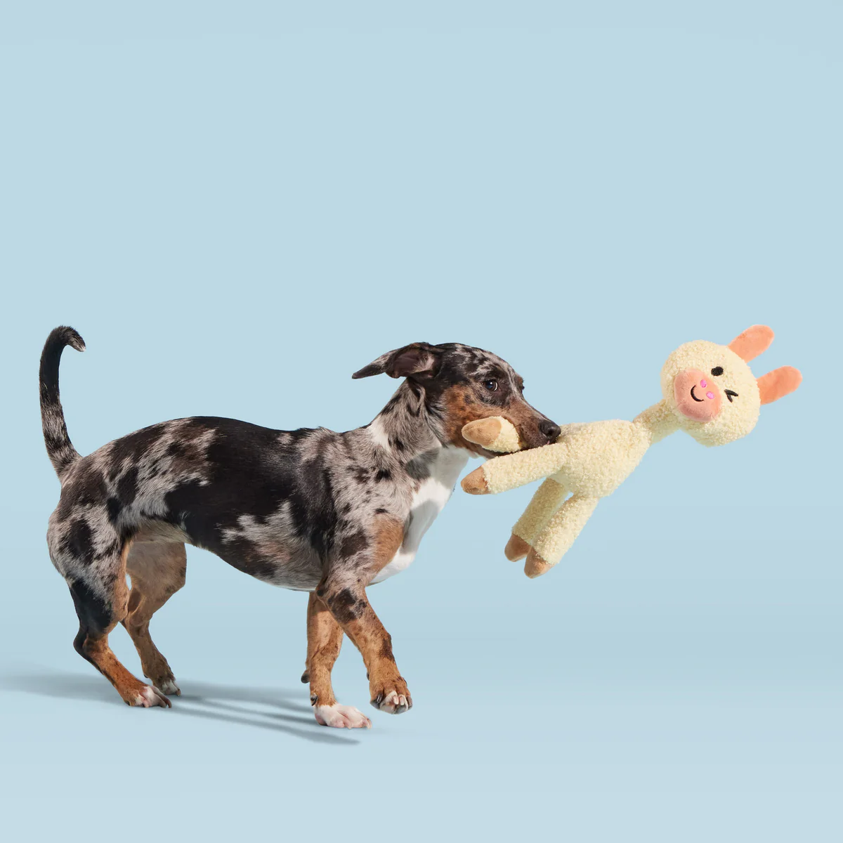 Big Al Paca Plush Tug Extra-Large Dog Toy - Image 4