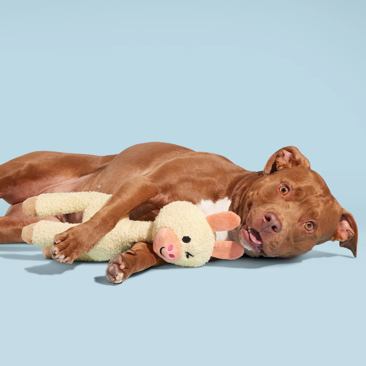 Big Al Paca Plush Tug Extra-Large Dog Toy - Image 5