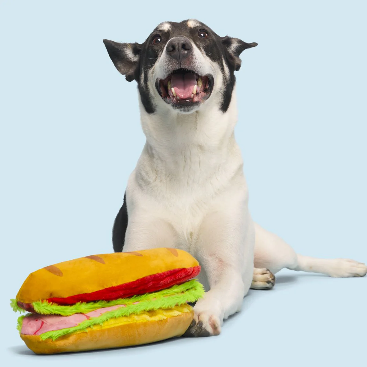 Big Bite Hoagie Plush Tug Extra-Large Dog Toy - Image 3