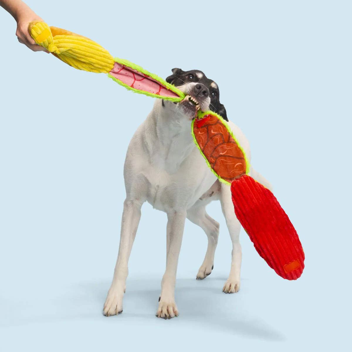 Big Bite Hoagie Plush Tug Extra-Large Dog Toy - Image 5