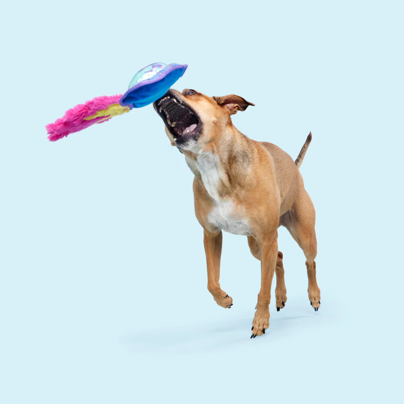 BLAST ARF! Plush Tug Dog Toy - Image 7