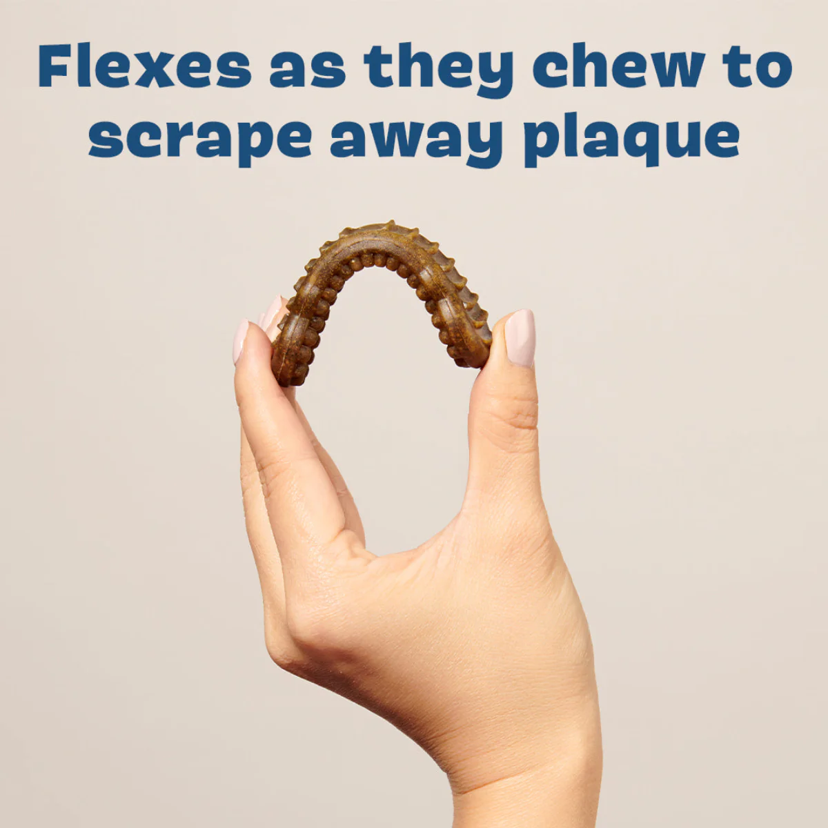 Bright Durable Dental Kit - Image 6