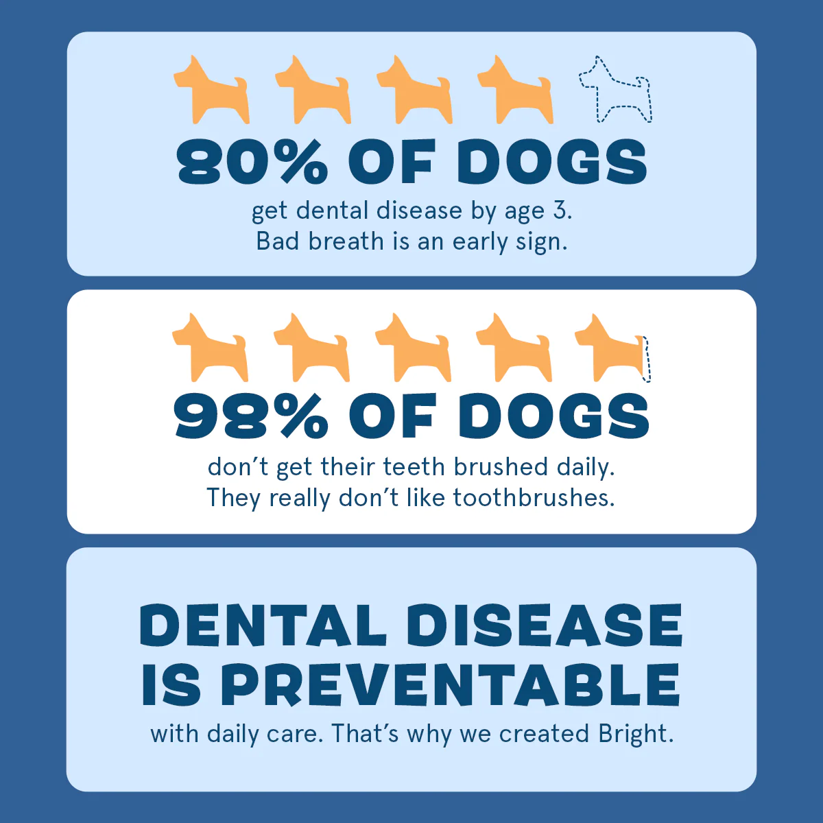 Bright Durable Dental Kit - Image 7