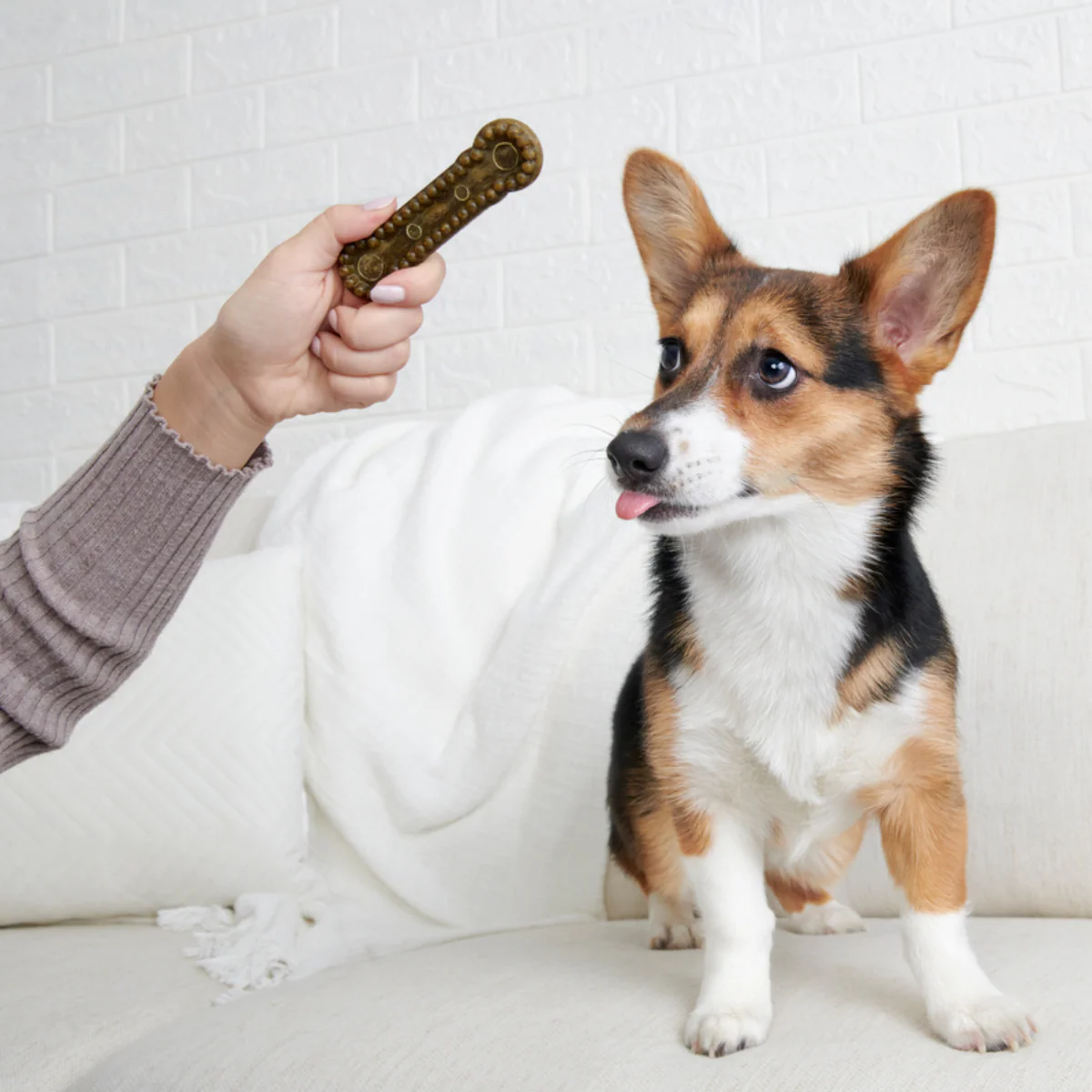 Bright Durable Dental Kit - Image 9