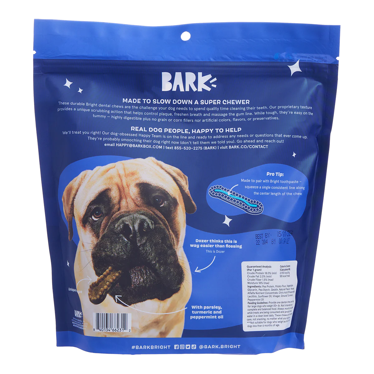 Bright Durable Dental Kit - Image 10