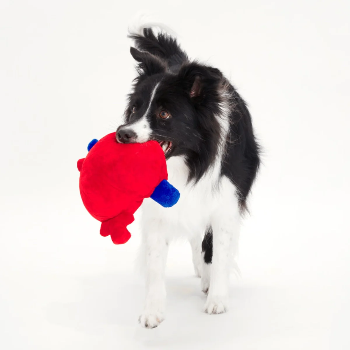 Broken Heart Ted Plush Dog Toy - Image 3