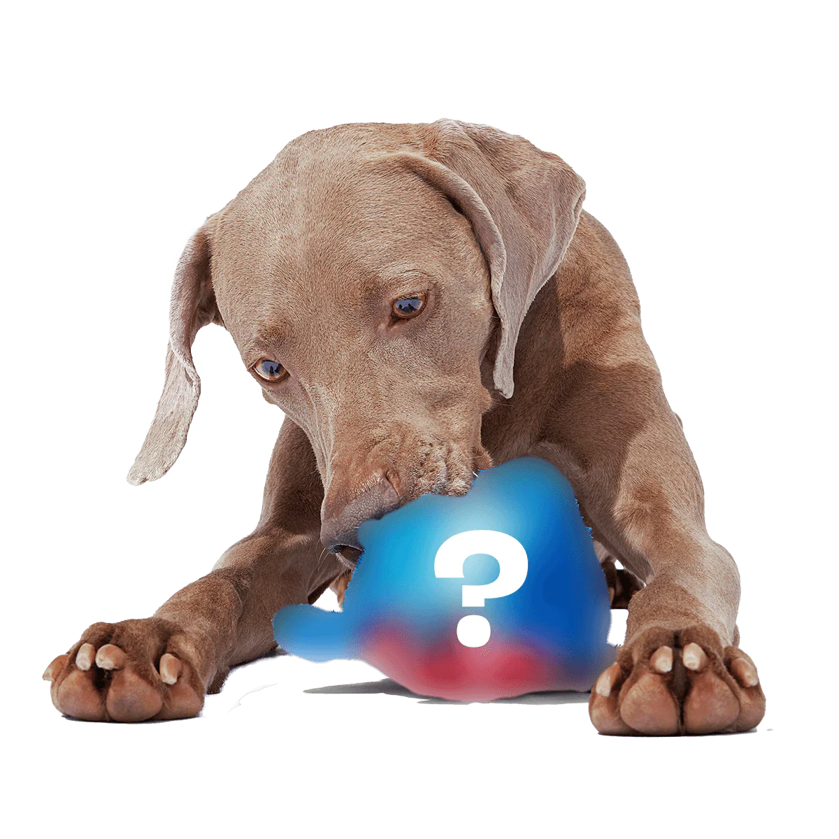 Bunga - Secret Monster Club - Image 3