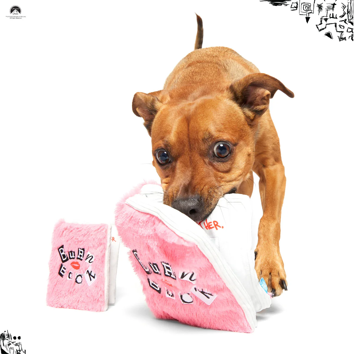 Burn Book Plush Tug + Enrichment Dog Toy - Image 3