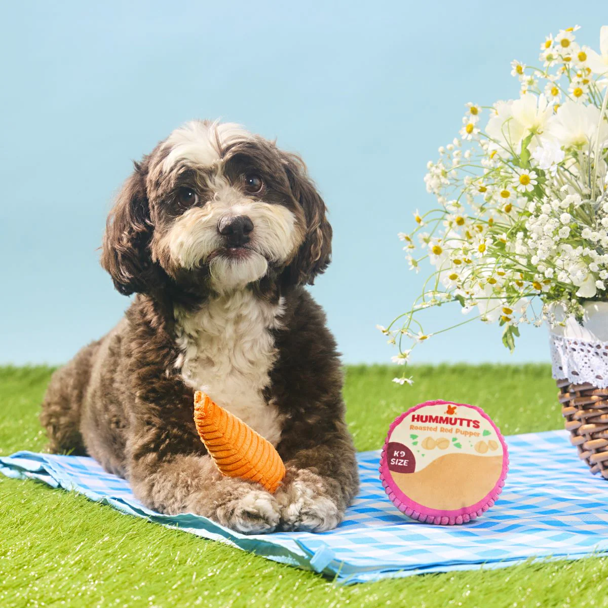 Carrot & Hummutts Plush Multi-Part Dog Toy - Image 4