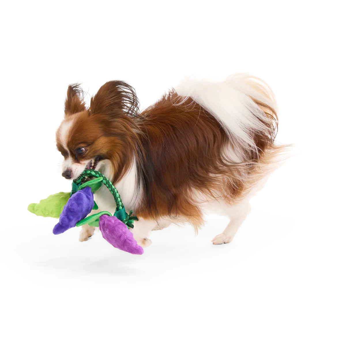 Chew The Grapevine Plush Tug Dog Toy - Image 5