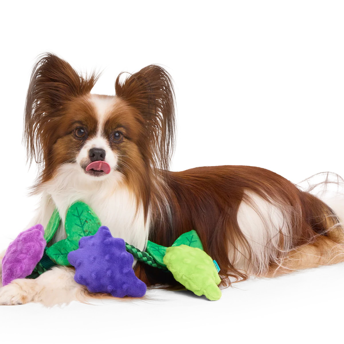 Chew The Grapevine Plush Tug Dog Toy - Image 6