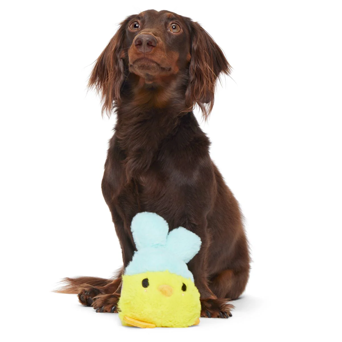 Good Hare Day Chick Durable Super Chewer 2-in-1 Rip and Reveal + Fetch Dog Toy - Image 3