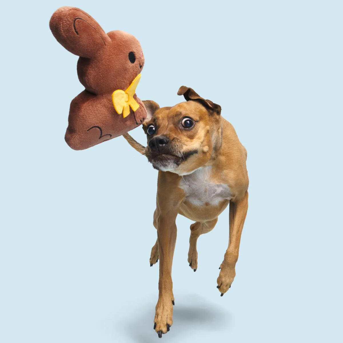 Chocolick Chunky Bunky Plush Tug Dog Toy - Image 4