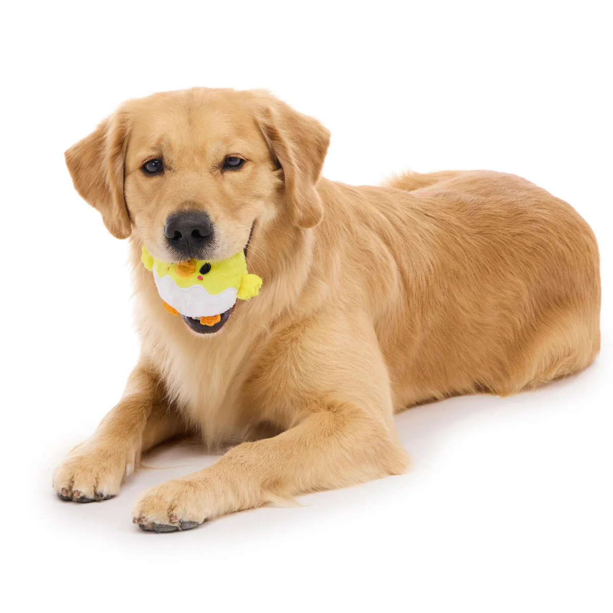 Chuck the Chick Durable Super Chewer 2-in-1 Rip and Reveal + Fetch Dog Toy - Image 3