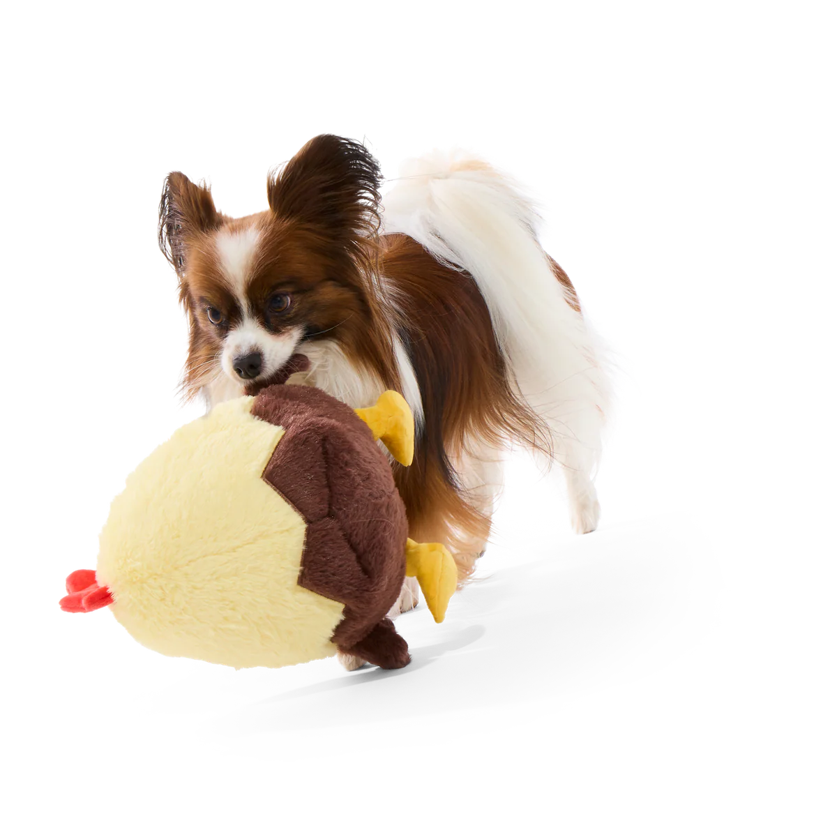 Chickie Biggie Plush Extra-Large Tug Dog Toy - Image 3