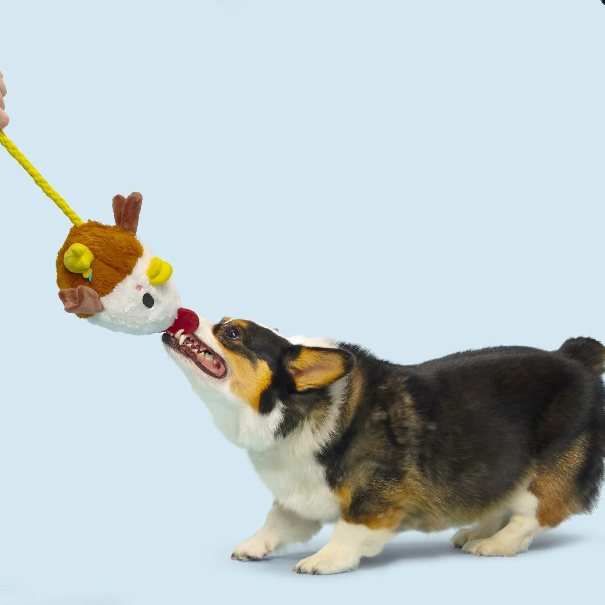 Cock-A-Doodle Dude Plush Tug + Fetch Dog Toy - Image 3