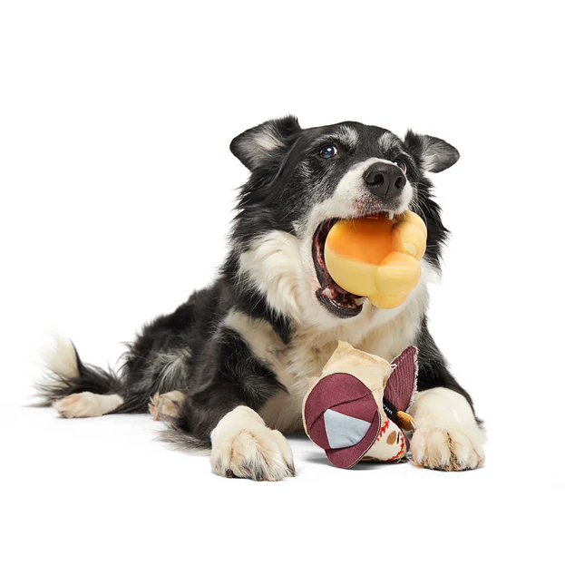 Crackin' Jake Durable Super Chewer 2-in-1 Rip and Reveal + Enrichment + Fetch Dog Toy - Image 4