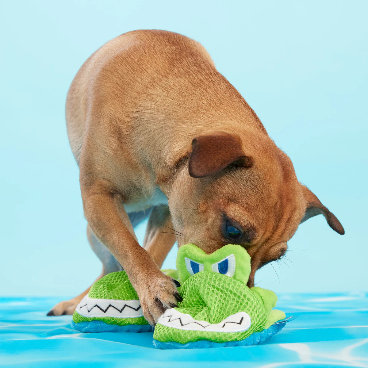 Crocks Plush Multi-Part Dog Toy - Image 3