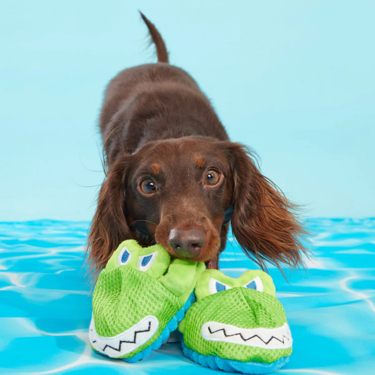 Crocks Plush Multi-Part Dog Toy - Image 4