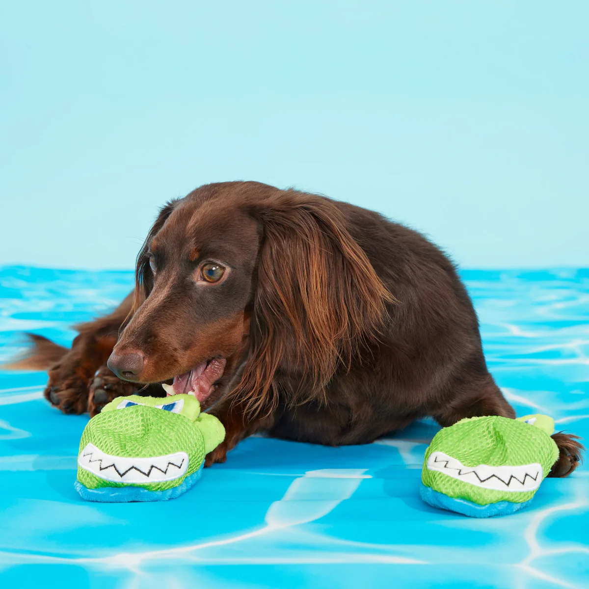 Crocks Plush Multi-Part Dog Toy - Image 5