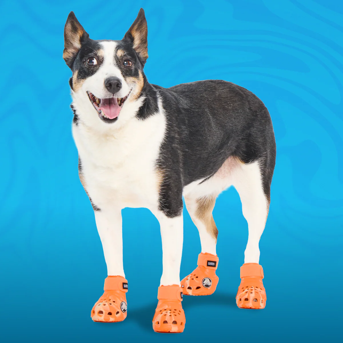 Crocs™ Shoes For Dogs - Image 11