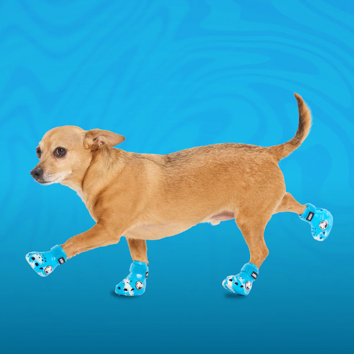 Crocs™ Shoes For Dogs - Image 13