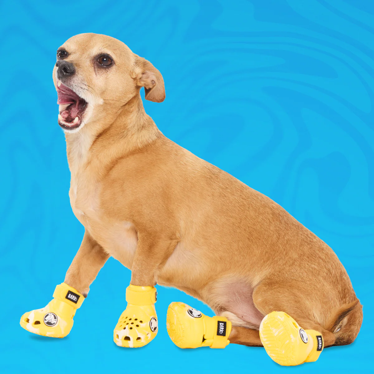 Crocs™ Shoes For Dogs - Image 15