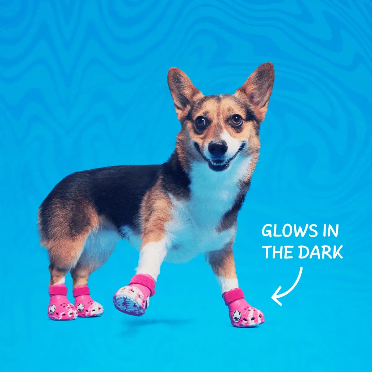 Crocs™ Shoes For Dogs - Image 19