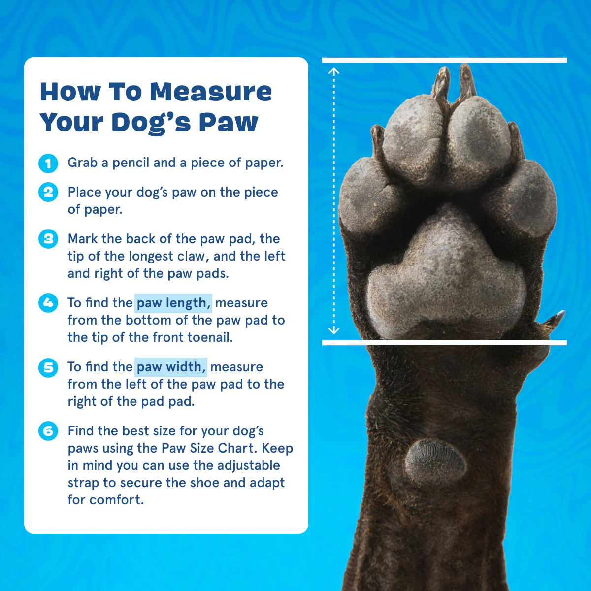 Crocs™ Shoes For Dogs - Image 23