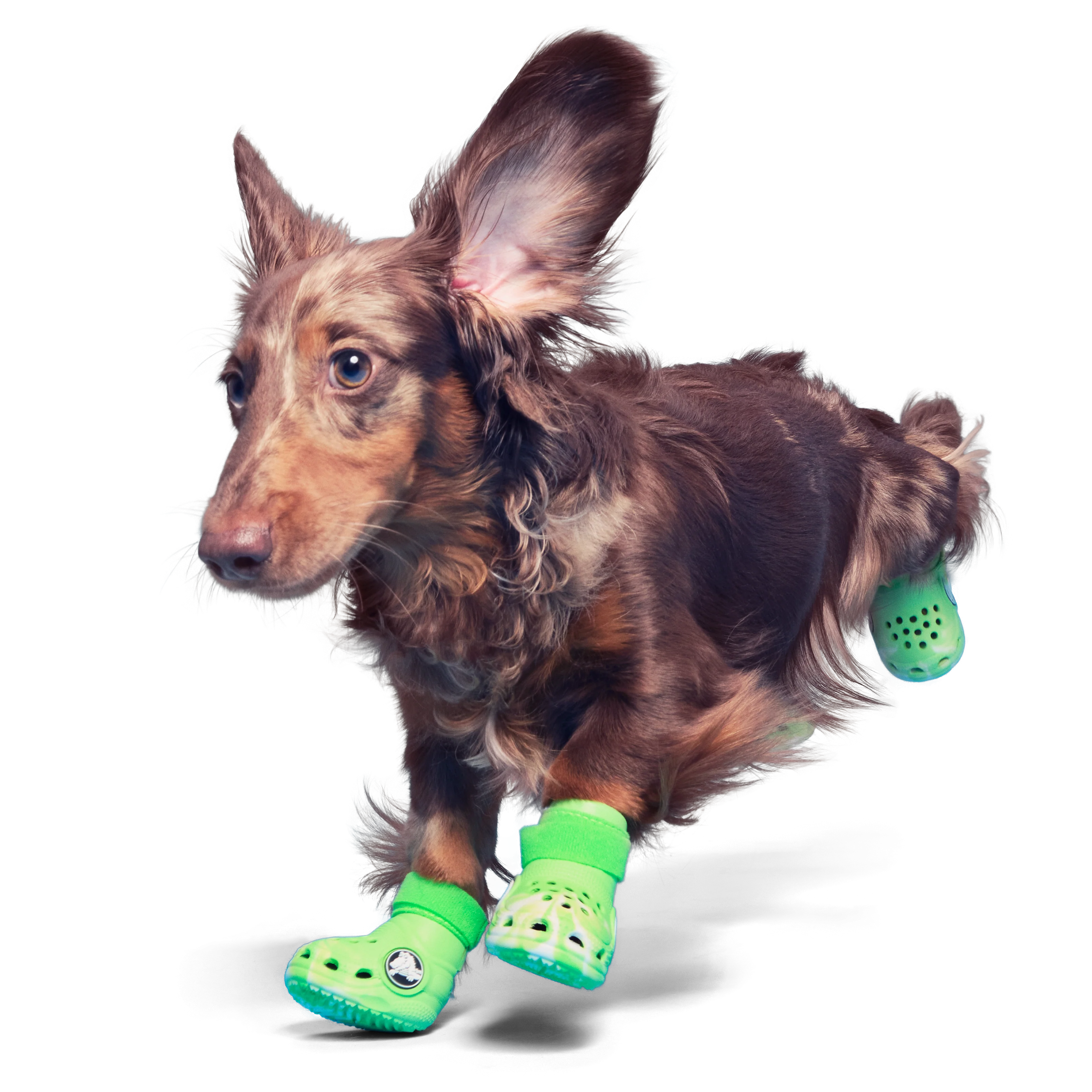 Crocs™ Shoes For Dogs - Image 4