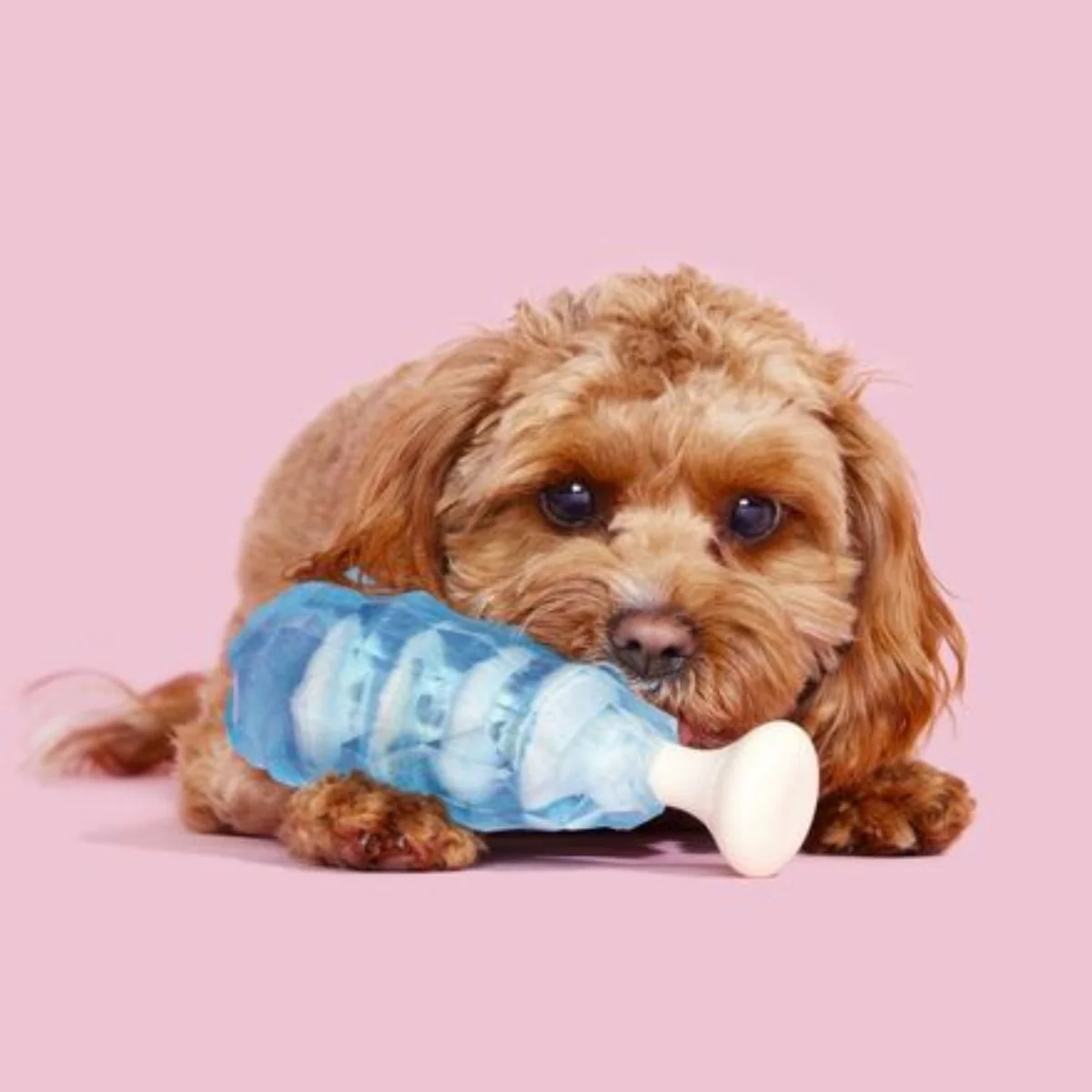 Dandy Blue Rock Candy Durable Super Chewer Gnaw Dog Toy - Image 3