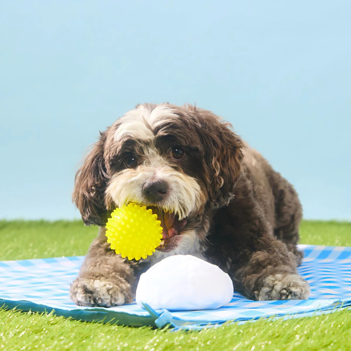 Deviled Begg Plush Multi-Part + Fetch Dog Toy - Image 4