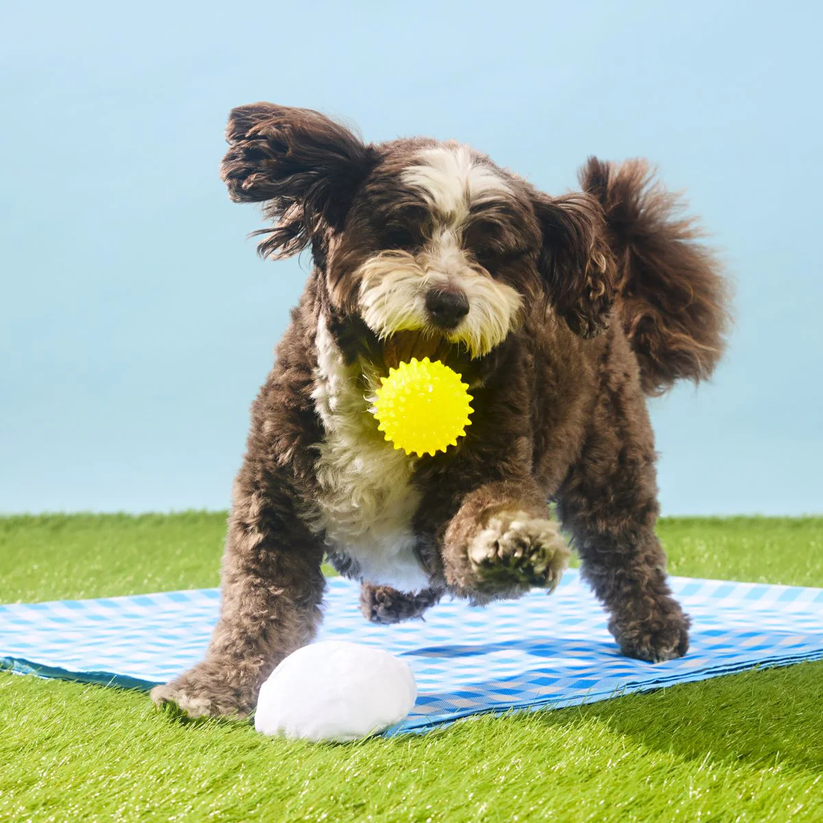 Deviled Begg Plush Multi-Part + Fetch Dog Toy - Image 6