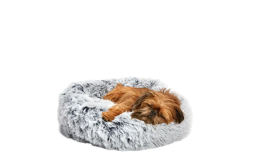 Dog Bed - Image 11